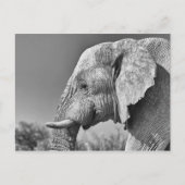 Porträt Postkarte (Vorderseite)