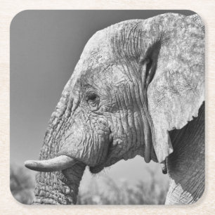 Porträt Rechteckiger Pappuntersetzer