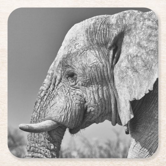 Porträt Rechteckiger Pappuntersetzer (Vorderseite)