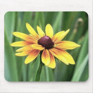 Porträt - schwarze mit Augen Susan Mousepad