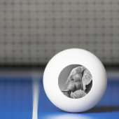 Porträt Tischtennisball (Netto)
