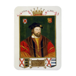 Porträt von (1513-37) Lord Offal Thomas-Fitzgerald Magnet