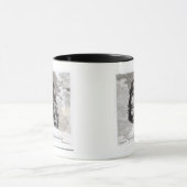 Porträt von Algernon Percy Tasse (Zentrum)
