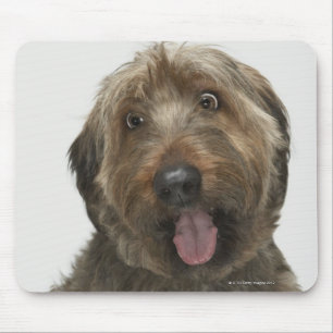 Porträt von Briard Hund Mousepad