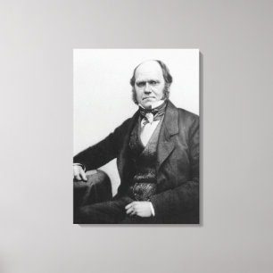 Porträt von Charles Darwin, 1854 Leinwanddruck