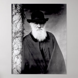 Porträt von Charles Darwin 1881 Poster
