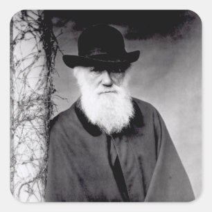 Porträt von Charles Darwin 1881 Quadratischer Aufkleber