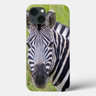 Porträt von EbenenZebra, Hluhluwe-Umfolozi Spiel Case-Mate iPhone Hülle
