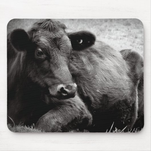 Porträt von einem Angus Mousepad (Vorne)