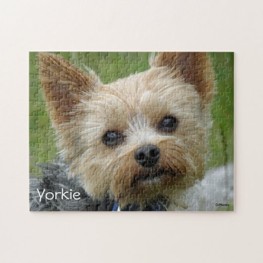 Porträt von einem Yorkshire Terrier Puzzle (Horizontal)