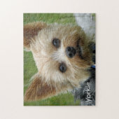 Porträt von einem Yorkshire Terrier Puzzle (Vertikal)