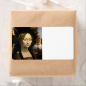 Porträt von Ginevra de Benci von Leonardo da Vinci (Insitu)