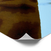 Porträt von Giraffen zum Essen eines Blattes Poster (Ecke)