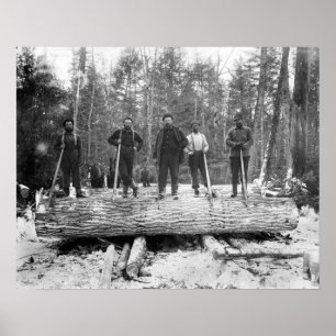 Porträt von Holzfällern, 1890. Vintage-Foto Poster