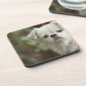 Porträt von Hund 2 Untersetzer (Linke Seite)