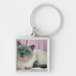 Porträt von Katze 4 Schlüsselanhänger