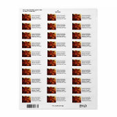 Porträt von Kuhölgemälden (Vorne)