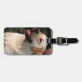 Porträt von Labrador retriever, Hilton Gepäckanhänger (Vorderseite horizontal)