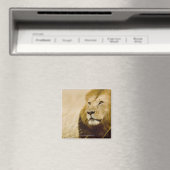 Porträt von Löwen (Panthera leo), Masai Mara Magnet (In Situ (Geschirrspüler))