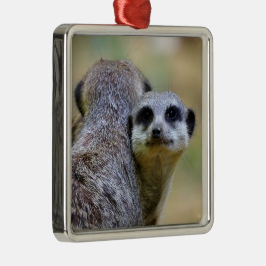 Porträt von Mekkaten oder Chirurikaten Ornament Aus Metall (Rechts)