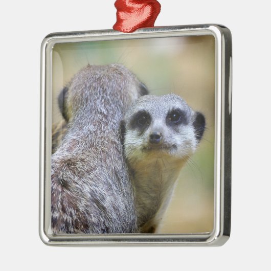 Porträt von Mekkaten oder Chirurikaten Ornament Aus Metall (Links)