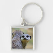 Porträt von Mekkaten oder Chirurikaten Schlüsselanhänger (Vorne)