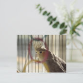 Porträt von Molly durch den Ring Postkarte (Stehend Vorderseite)