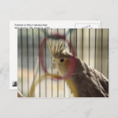 Porträt von Molly durch den Ring Postkarte (Vorne/Hinten)