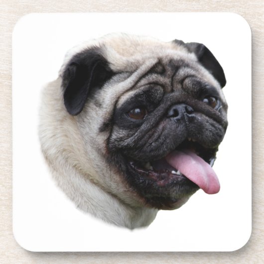 Porträt von Mops-Hund-Foto Untersetzer (Vorderseite)