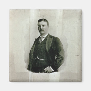 Porträt von Oberst Theodore Roosevelt (litho) Magnet