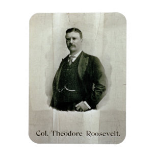 Porträt von Oberst Theodore Roosevelt (litho) Magnet