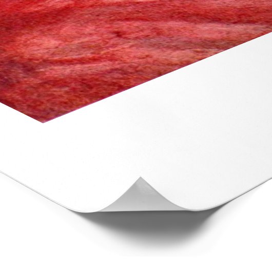 Porträt von Papst unschuldig X. von Diego Velazque Poster (Ecke)