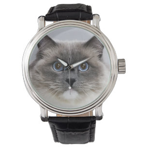 Porträt von Ragdoll Katze Armbanduhr