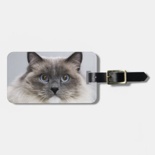 Porträt von Ragdoll Katze Gepäckanhänger