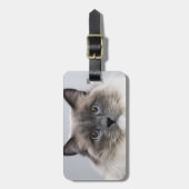 Porträt von Ragdoll Katze Gepäckanhänger (Vorderseite vertikal)