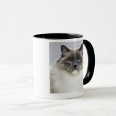 Porträt von Ragdoll Katze Tasse (VorderseiteRechts)