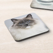 Porträt von Ragdoll Katze Untersetzer (Linke Seite)