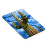 Porträt von Saguaro, Arizona Magnet (Rechte Seite)