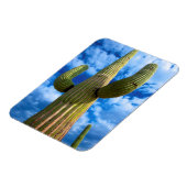 Porträt von Saguaro, Arizona Magnet (Linke Seite)