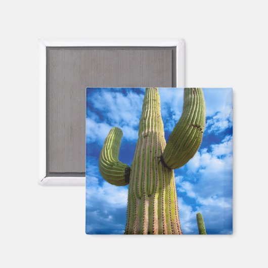 Porträt von Saguaro, Arizona Magnet (Vorderseite/Rückseite)