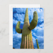 Porträt von Saguaro, Arizona Postkarte (Vorne/Hinten)