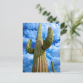 Porträt von Saguaro, Arizona Postkarte (Stehend Vorderseite)
