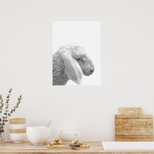 Porträt von Schwarz-Weiß-Schafen Poster (Küche)
