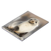 Porträt von Siegel Pup am Strand Notizblock (Linke Seite)