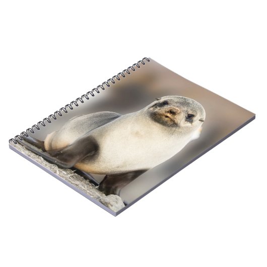 Porträt von Siegel Pup am Strand Notizblock (Linke Seite)