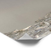 Porträt von Siegel Pup am Strand Poster (Ecke)