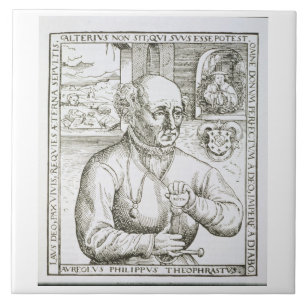 Porträt von Theothrastus Paracelsus (1493-1541),  Fliese