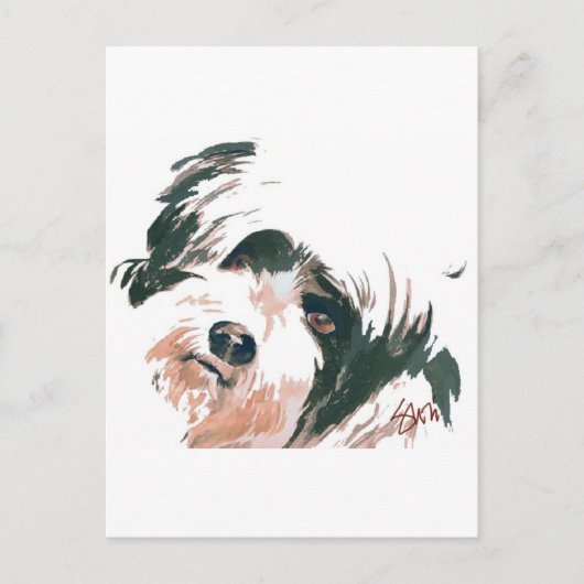 Porträt von Tibetan Terrier Postkarte (Vorderseite)