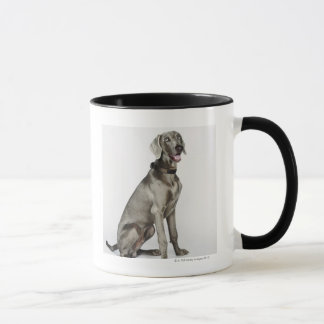 Porträt von Weimaraner Hund Tasse