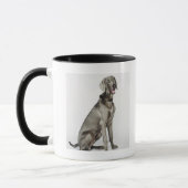 Porträt von Weimaraner Hund Tasse (Links)
